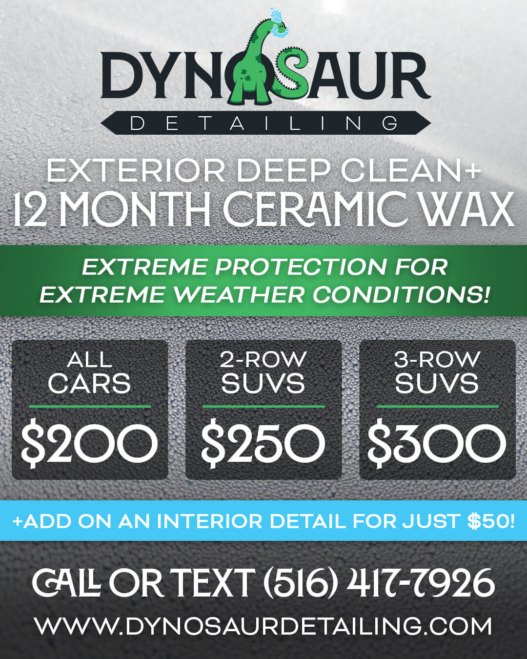 Exterior deep cleaning PLUS a 12-month ceramic wax! Call or Text (516) 417-7926 for a free quote!